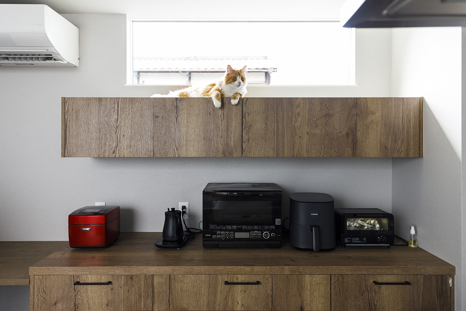 キッチン背面の木製収納の上でくつろぐ猫